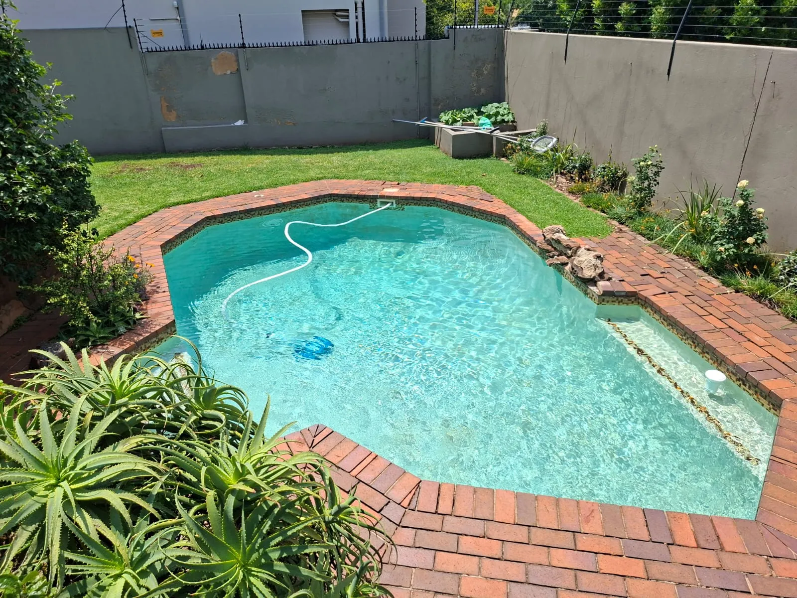 Modern pool with glass doors