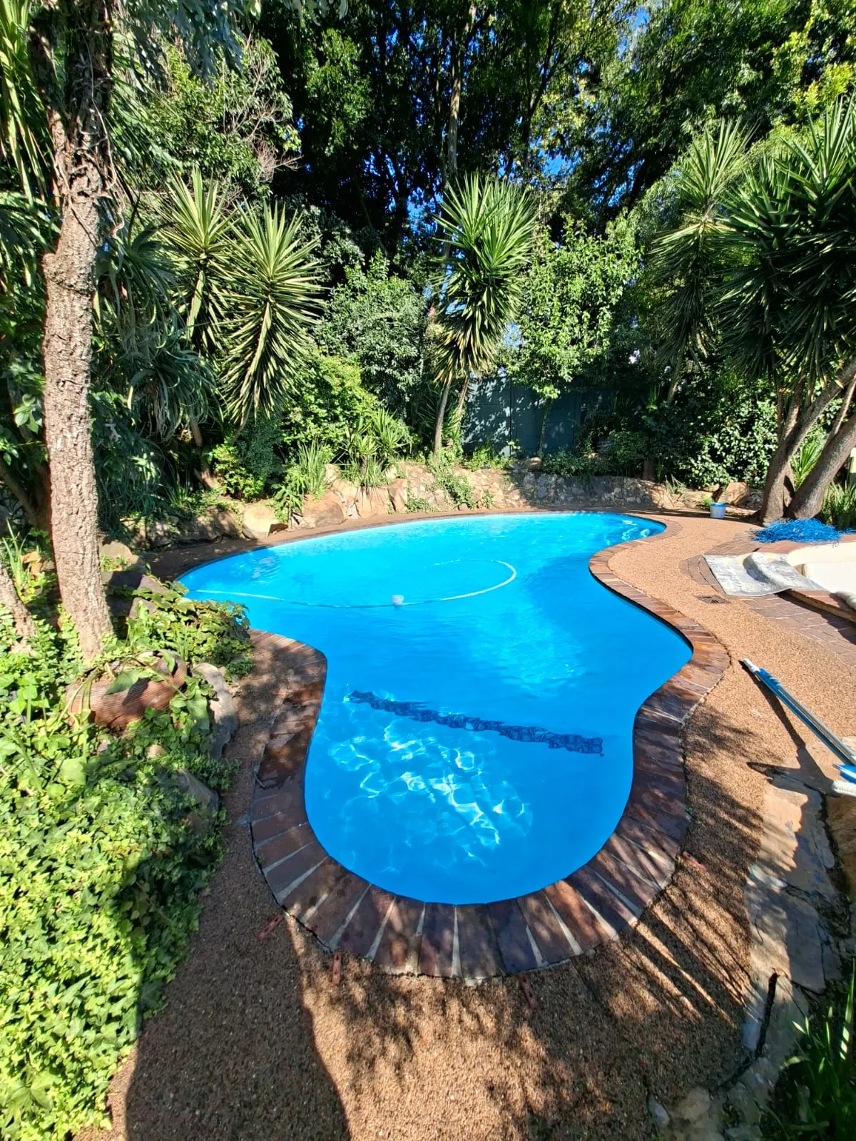 Organic shaped pool with garden
